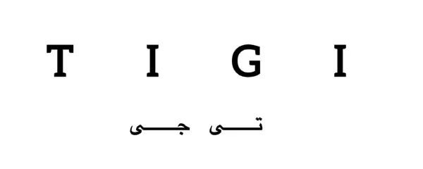 تی جی TIGI